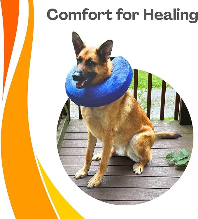 Iconikal Inflatable Dog Recovery Collar Small Blue 8-12 Inch Neck Adjustable Soft Donut E-Cone Alternative Post Surgery Injury Healing Protective