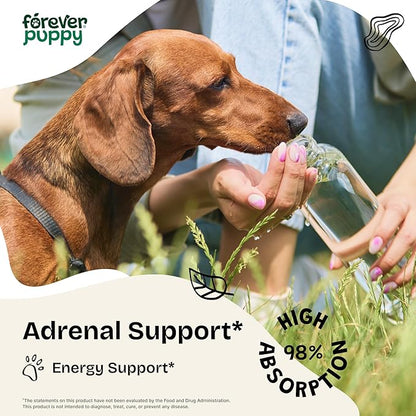 Forever Puppy Adrenal Support Drops for Dogs - Pure Ashwagandha & Ginseng Root Tincture for Adrenal Health & Energy Support - Calming Care Liquid Supplement for Dogs of All Breeds & Sizes - 2 oz