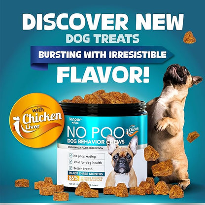 Kinpur Pet Care Dog Behavior Chews with Digestive Enzymes and Probiotics for Gut Health, Yeast Balance, Itchy Skin, Allergies, Immunity - Delicious Soft Treats for All Breeds (120)