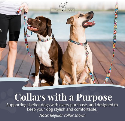 Lucky Love Dog Martingale Dog Collar - Adjustable, No-Slip, Durable, & Soft Webbing Collar for Male and Female Dogs Ideal for Training & Walking - Blackbird, Large