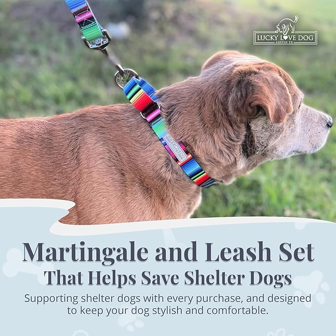 Lucky Love Dog Martingale Dog Collar & Leash - Adjustable, No-Slip, Durable, Comfortable, Soft Webbing, & Stylish Patterned Collar & Leash Set for Male and Female Dogs - Nacho Combo, Small
