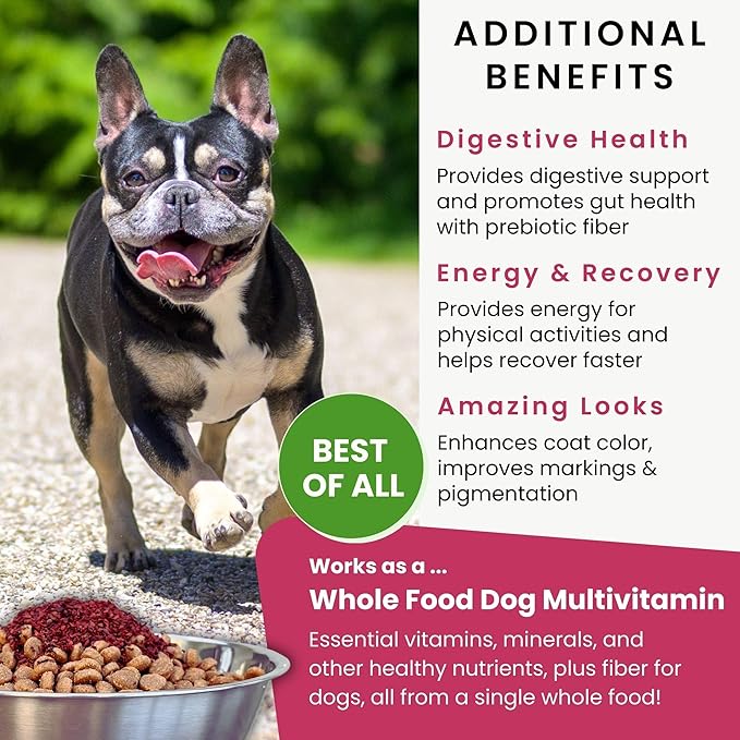 Olewo Original Red Beets for Dogs – Internal Support Dog Food Topper for Skin Sensitivity and Overall Balance, Prebiotic Fiber and Whole Food Nutrients, 1 lb