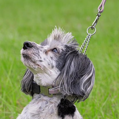 Herm Sprenger Chrome Plated Steel Dog Collar with Quick Release ClicLock Buckle O-Ring Biothane Insert Training Collar Made in Germany (Pastel Purple, 16in x 2.25mm(Neck Size up to 13-14in))