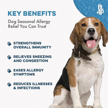 Dog UTI Treatment, Bladder & Kidney Support, Natural Incontinence and Bladder Control for Dogs Reduces Urinary Tract Infections and Dog Allergy Relief & Immune Support, Natural Holistic Itch Relief