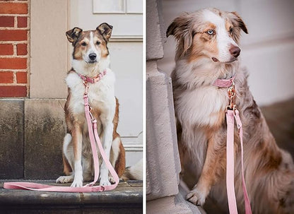 Soft Leather Dog Collar and Leash (6.6') Set - Stylish Rose Gold Heavy Duty Metal Buckle, 4 Adjustable Lengths Leash for Small Medium Large Dogs - Comfortable & Easy to Clean Pink S(12.2"-16.9")