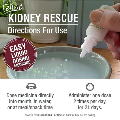 HomeoPet Feline Kidney Rescue, Safe and Natural Renal Supplement for Cats and Kittens, 15 Milliliters