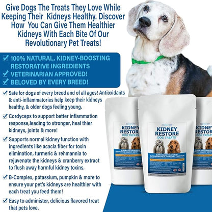 Kidney Restore Dog Treats with Hard Copy Special Report Kidney Support Chew Biscuit Cleanse Renal Canine Cookie for Kidneys