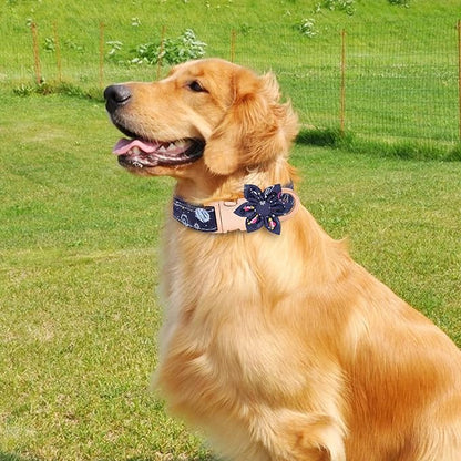 Dog Collar and Leash Set Adjustable Girls Puppy Floral Collars with Bow Tie for Small Medium Large Dogs(S, Blue Planet)