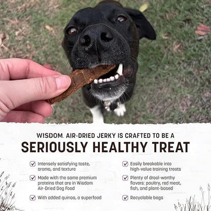 Earth Animal Wisdom Air Dried Jerky - Turkey Recipe Premium Natural Jerky Strips Dog Treats - 3 Pack 4 oz Bag