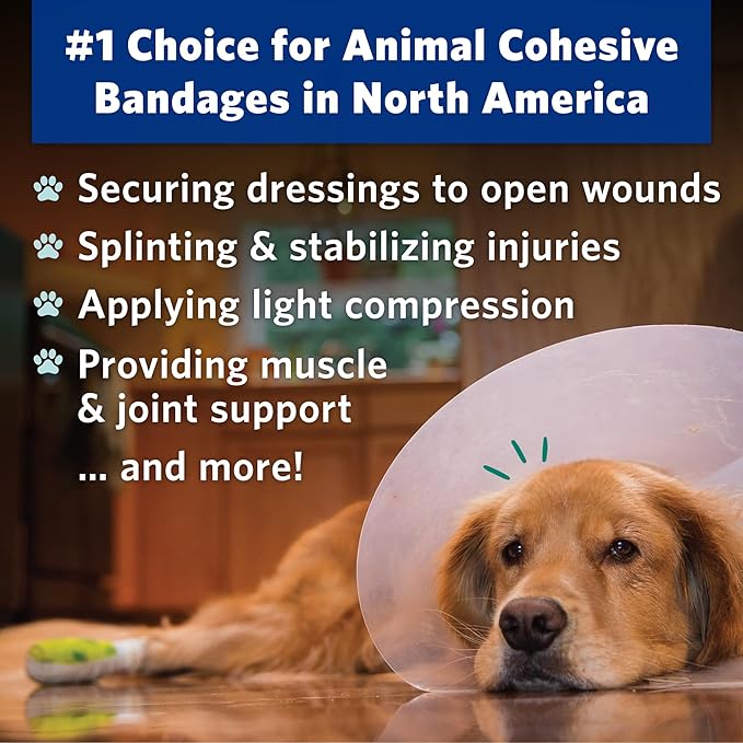OVIK Health PetFlex Paw Pack – Flexible Self-Adhering Elastic Bandage for Wound Care – First Aid Wrap for Small Animals Like Dogs, Cats, and Other Pets - 2 inch, 6 Rolls