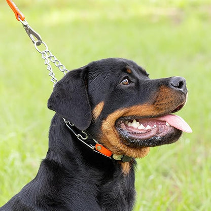 Herm Sprenger Chrome Plated Steel Dog Collar with Quick Release ClicLock Buckle O-Ring Biothane Insert Training Collar Made in Germany (Hunter Orange, 22in x 3.0mm(Neck Size up to 18-19in))