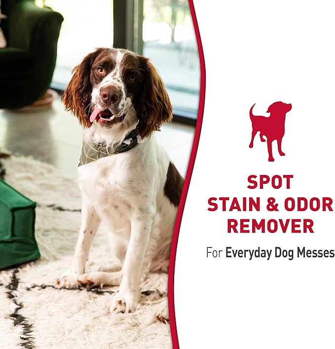 Nature's Miracle® Stain & Odor Remover, Tough on Dog Urine, Feces, Vomit, Drool and Other Organic Stains and Odors, 1 Gallon (Pack of 4)