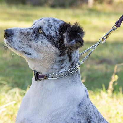 Herm Sprenger Chrome Plated Steel Dog Collar with Quick Release ClicLock Buckle and Biothane Insert Training Collar for Dogs Made in Germany (Violet Purple, 16in x 2.25mm(Neck Size up to 13-14in))