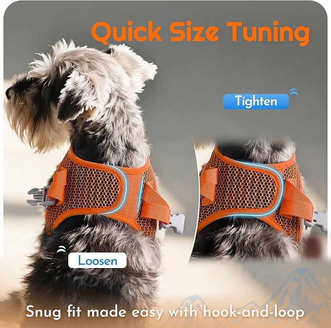 Eagloo Small Dog Harness and Leash Set, Step in Puppy Vest with Breathable Soft Mesh, Walking Reflective Pet Harness for Small Dogs, Orange, M