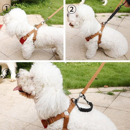 2 PCS Dog Collar Safety Clips, Dual Clasps 360 Degree Rotating Buckle,Collar Spare Clip Connector for Dog Harness Prong Collar (Black)