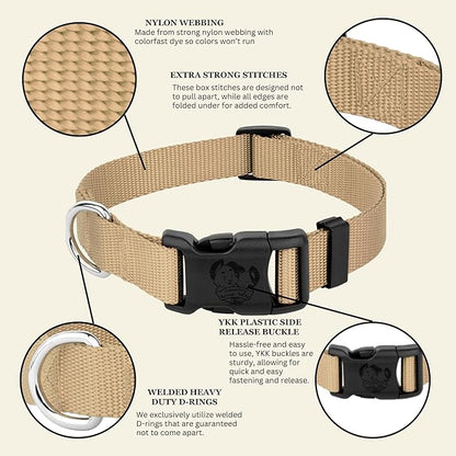 Country Brook Petz - Everyday Nylon Dog Collar for Large, Medium, and Small Dogs and Puppies - for Everyday Use in 10+ Warm Colors (2XS, 3/8 Inch Wide, Copper Gold)