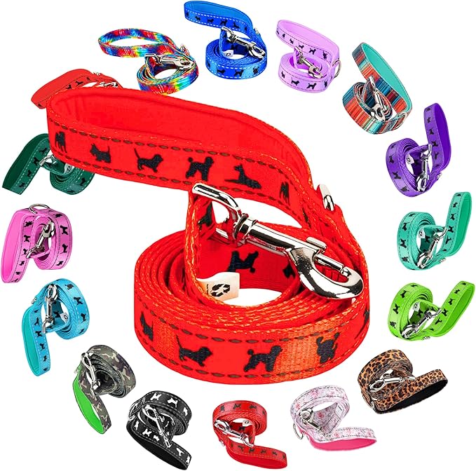 EcoBark Dog Leash - Soft & Reflective Comfort Leashes with Padded Handle - Safe, Strong, & Durable for Small, Medium or Large Dogs (Orange)