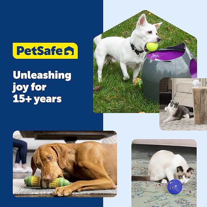 PetSafe Busy Buddy Bristle Bone Dog Chew Toy - Promotes Dental Health - Durable Nylon & Rubber - Treat Dispensing Design - Interactive Play - Refillable Treat Rings Included