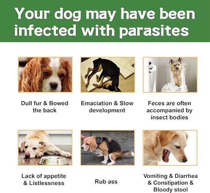 Flea and Tick Prevention for Dogs, Flea and Tick Treatment for Medium Dog, Flea & Tick Control, 23-44 Pounds, 6 Doses