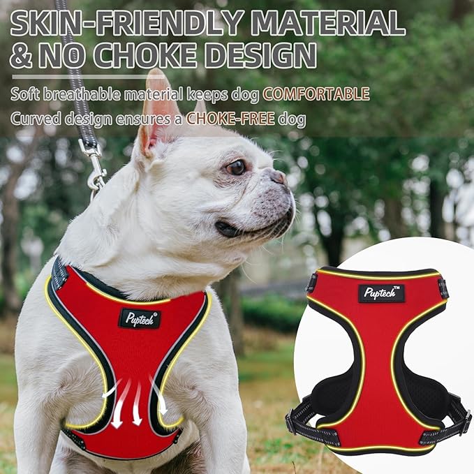 PUPTECK Dog Harness and Leash Set Small Sized, Adjustable Reflective Escape Proof Puppy Vest, No Pull Walking Harness Easy Control