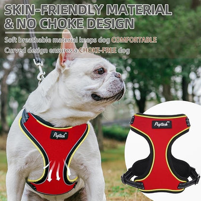 PUPTECK Dog Harness and Leash Set Small Sized, Adjustable Reflective Escape Proof Puppy Vest, No Pull Walking Harness Easy Control
