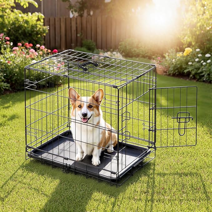 DUMOS Dog Crate, 30 Inch Medium Size Single Door Dog Cage with Plastic Leak-Proof Pan Tray, Folding Small Metal Wire Pet Kennel for Indoor, Outdoor, Travel