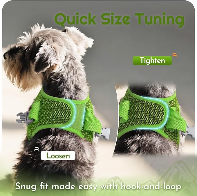 Eagloo Small Dog Harness and Leash Set, Step in Puppy Vest with Breathable Soft Mesh, Walking Reflective Pet Harness for Medium Small Dogs, Green, L