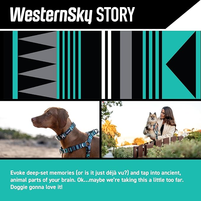 Wolfgang Heavy Duty Martingale Dog Collar with Quick Release Nylon Buckle for Walking & Training, WesternSky Print, Large