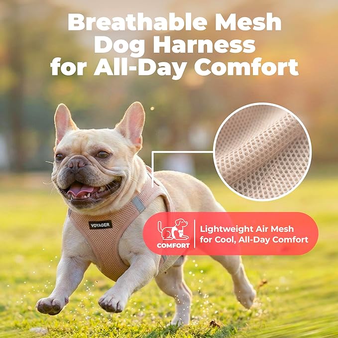 Best Pet Supplies Voyager Step-in Air Harness - All Weather Mesh, Reflective, No Pull Harness for Dogs, Cats - Secure with Hook & Loop Fastener, Buckle, Double D-Rings - Khaki, XL