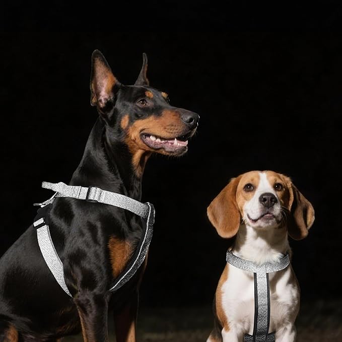 Galaxy Reflective Dog Harness,Adjustable 4-Point Fit,Anti-Pinch Buckles,Back-Clip Control & Emergency Handle,Velvet Lined for Small, Medium and Large Dogs, (Black, L)