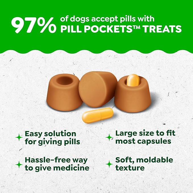 Greenies Pill Pockets for Dogs Large Size, Dog Treat Pouch for Capsule Medication, Peanut Butter Flavor, 15.8 oz. Pouch