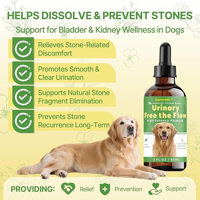 Bladder & Kidney Stones Dissolver for Dogs – Natural Dog UTI Treatment & Urinary Tract for Dogs, Stone and Crystals Fragment Flush & Prevention, Vet-Formulated Dog Urinary Tract Infection Support