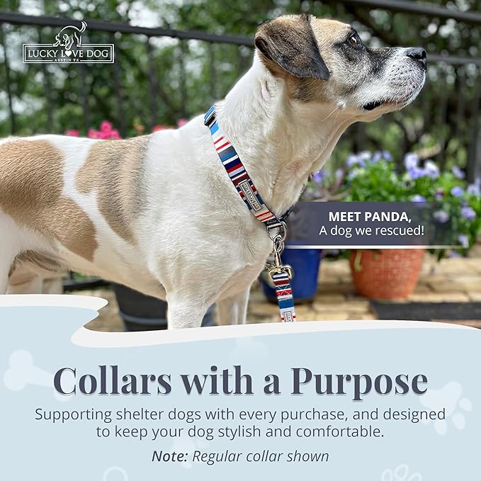 Lucky Love Dog - Adjustable Dog Collar with Easy Click Buckle for Medium, Durable, & Comfortable for Male & Female Dogs, Pet Collar for Puppies & Adult Dogs - Linus Martingale, Medium