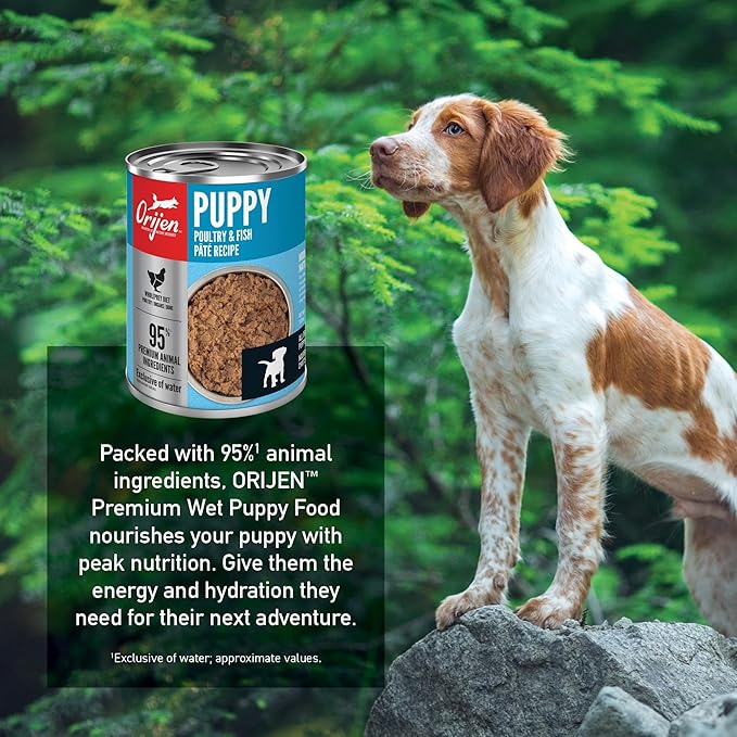 ORIJEN Pate Wet Dog Food Poultry and Fish Puppy Recipe 12.8oz Cans (12 Count)