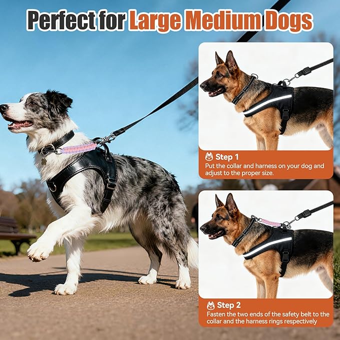 Dog Collar Safety Clip with Dual Clasps,Handmade Backup Safety Strap for Dog Harness, Collars and No Pull Harness Connectors (Pink & Light Purple)