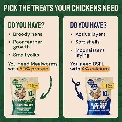 Hatortempt 20lb Dried Mealworms for Chickens - 50% Protein and 32% Essential Fats to Support Healthy Feather Growth During Molt - Organic Treats for Chickens, Ducks, Wild Birds & Reptiles