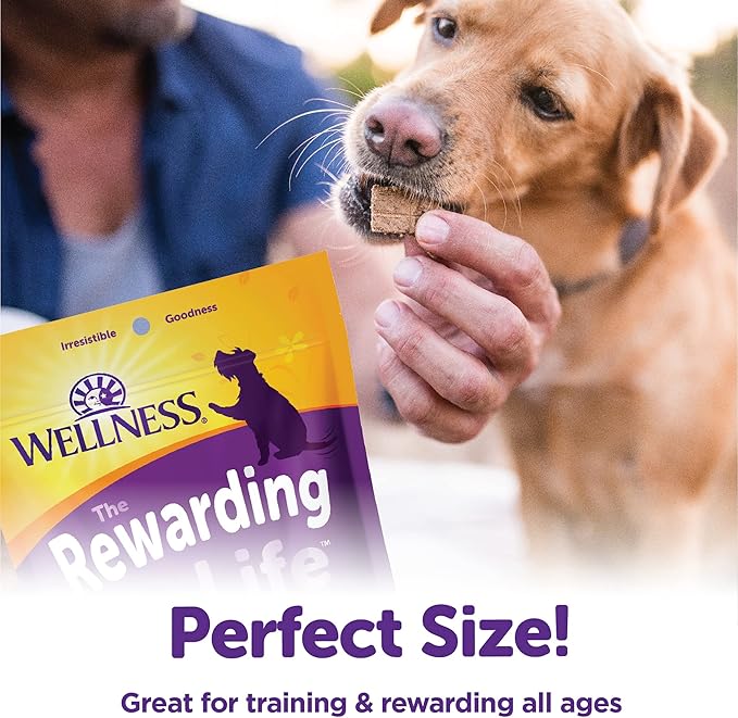 Wellness Rewarding Life Grain-Free Soft Dog Treats, Made in USA with Healthy Ingredients, Ideal for Training (Beef & Turkey Recipe, 6-Ounce Bag) (Pack of 2)