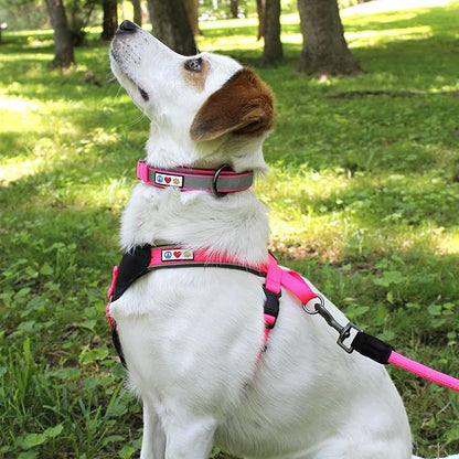 Pawtitas Lumberjack Padded Martingale Collar for Dogs | Soft Neoprene Dog Collar for Your pet's Comfort Made with Reflective Band for Maximum Visibility | Fits Small and Large Pets - Small Orange