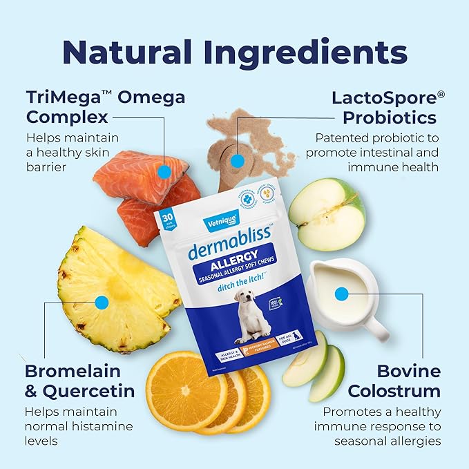 Vetnique DermaBliss Dog Allergy Chews for Seasonal Allergy Itch Relief, Skin & Gut Health with Probiotics and Omega 3 Blend - Advanced or Regular Strength (30ct, Regular Strength Chews)