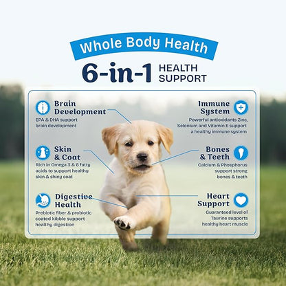 Natural Balance Health Protection Puppy Dry Dog Food – Whole Body Health, Easy on Digestion Dog Food Made with Chicken, Brown Rice & Pumpkin for Puppies - 4lbs.