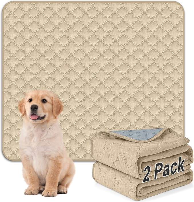 FunFurry Washable Pee Pads for Dogs - 2 Pack Reusable Waterproof Puppy Training Pads, Super Absorbent with Dog Paw Shape Non-Slip Backing (Cream, 41" X 41" - 2 Pack)