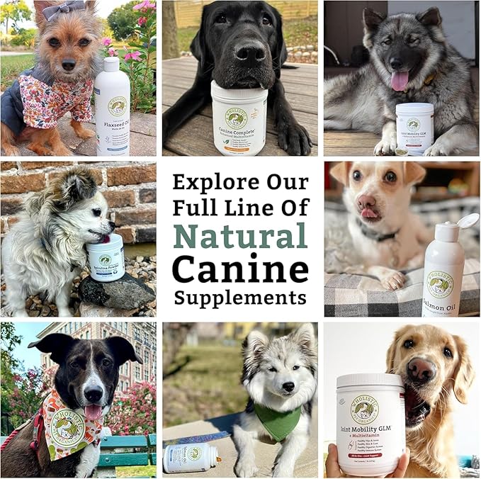 Wholistic Pet Organics Diatomaceous Earth - Food Grade for Dogs & Cats - 13 Oz - Multi Use Powder - Pet Safe Non-Chemical Freshwater Sourced Silica Supports Overall Health - Made in USA - 105 Scoops