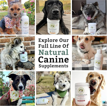 Wholistic Pet Organics Diatomaceous Earth - Food Grade for Dogs & Cats - 13 Oz - Multi Use Powder - Pet Safe Non-Chemical Freshwater Sourced Silica Supports Overall Health - Made in USA - 105 Scoops
