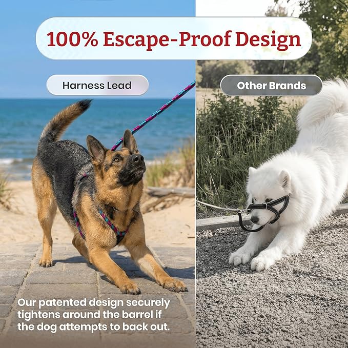 Harness Lead No Pull Dog Harness and Leash Set, Anti Pull Dog Harness, One-Piece Cushioned Rope Safely Prevents Escaping and Pulling (Small/Medium, Rainforest)