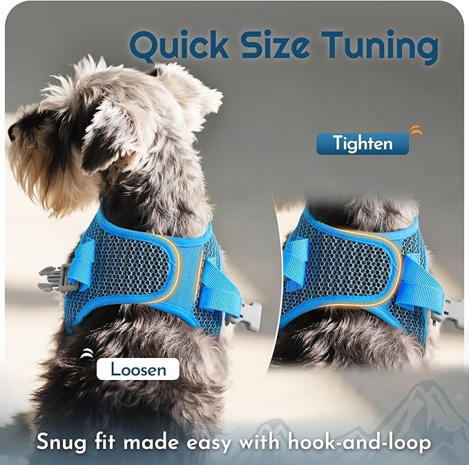 Eagloo Small Dog Harness and Leash Set, Step in Puppy Vest with Breathable Soft Mesh, Walking Reflective Pet Harness for Extra Small Dogs, Blue, XXS