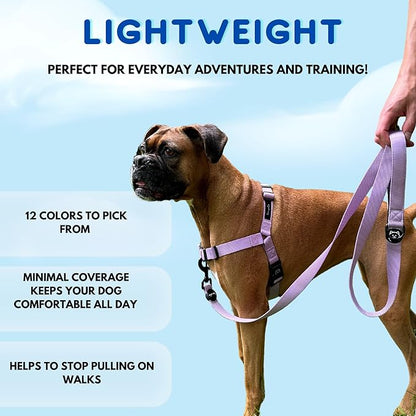 ShawnCo Dream Walk No-Pull Dog Harness- Adjustable, Comfortable, Easy to Use Pet Halter to Help Stop Pulling for Small, Medium and Large Dogs- Art Pattern Designs (Stars and Stripes, M)