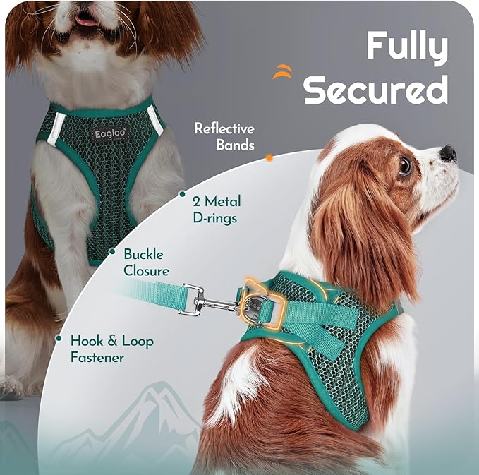 Eagloo Small Dog Harness and Leash Set, Step in Puppy Vest with Breathable Soft Mesh, Walking Reflective Pet Harness for Small Dogs, Forest Green, XXS