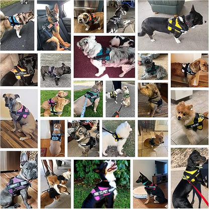 Bolux Dog Harness, No-Pull Reflective Dog Vest, Breathable Adjustable Pet Harness with Handle for Outdoor Walking - No More Pulling, Tugging or Choking (Purple, L)