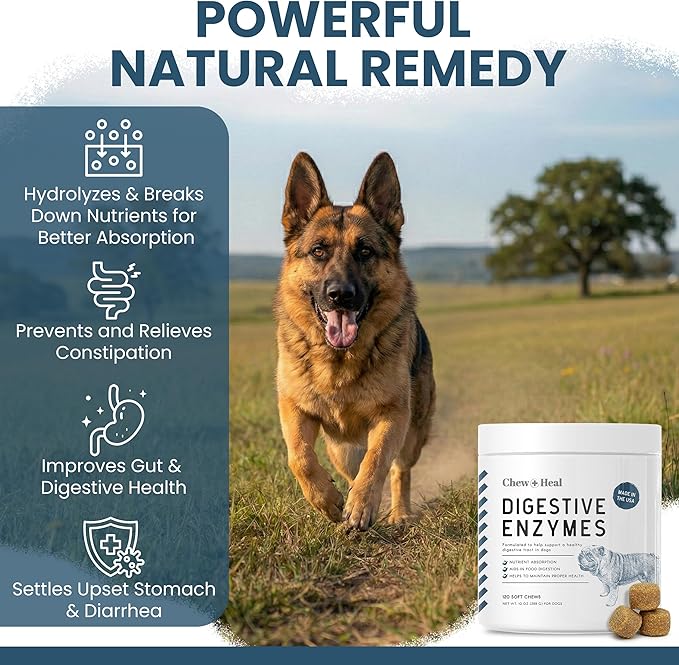 Probiotics for Dogs with Digestive Enzymes - 120 Soft Chews - Supports Healthy Digestive Tract, Helps Nutrient Absorption and Food Digestion - Probiotic & Prebiotic Dog Fiber and Gut Health Supplement