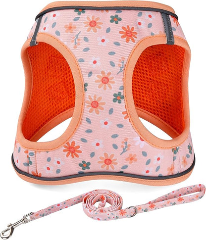 Mihqy Step in Dog Harness and Leash Set, Reflective Adjustable No Pull Dog Harness for Extra-Small/Small Dogs Puppy and Cats, Soft Padded Mesh Vest Harnesses for Girl and Boy Pets(Orange Floral,XXS)
